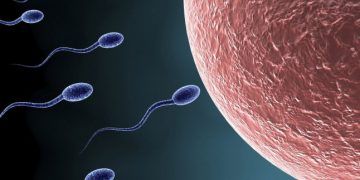 Spermalar ile İlgili Saha Çalışmaları