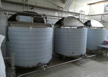 Tank Sütünde Somatik Hücre Sayımı Neden Yapılmalıdır?