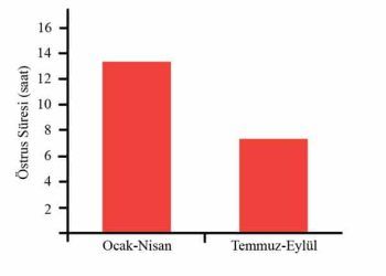 İneklerde Sıcaklık Stresinin Etkileri