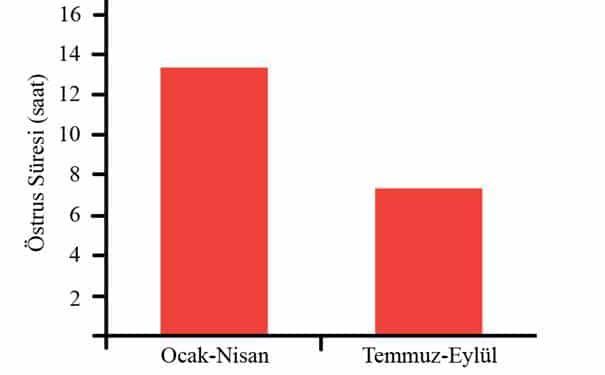 İneklerde Sıcaklık Stresinin Etkileri