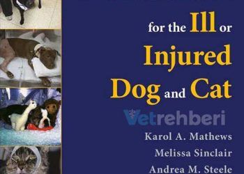 Hasta veya Yaralı Köpek ve Kedi için Analjezi ve Anestezi