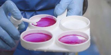 California Mastitis Test 'in Uygulanışı (CMT)