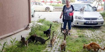 Hayatı yaralı kediyi sahiplenmesiyle değişti