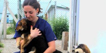 Sokak hayvanları için Fransa 'dan Sinop 'a geldi