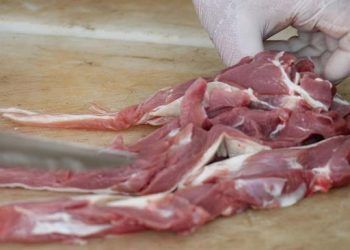 Türkiye et ihraç eden ülke haline gelecek