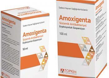 Amoxigenta