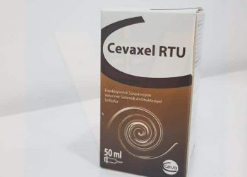 Cevaxel RTU
