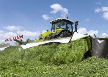 Yonca Silajı Nedir?