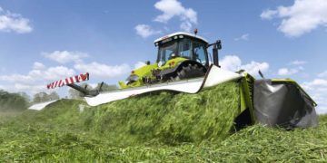 Yonca Silajı Nedir?