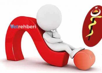 Yönlendirilmiş Mutajenez Nedir?