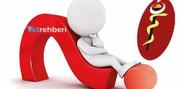 Yönlendirilmiş Mutajenez Nedir?