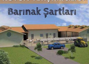 Koyun Yetiştiriciliği Barınak Şartları