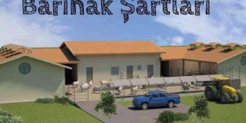 Koyun Yetiştiriciliği Barınak Şartları