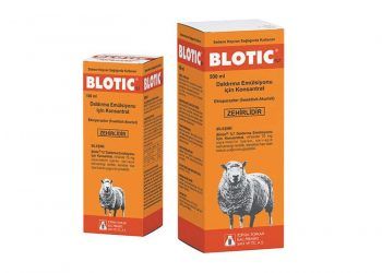 Blotic %7