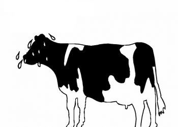 ineklerde Zayıf Metabolik Adaptasyon Sendromu