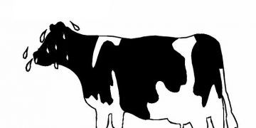 ineklerde Zayıf Metabolik Adaptasyon Sendromu