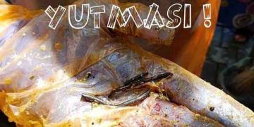 İneklerin Tel-Çivi-İğne Yutması