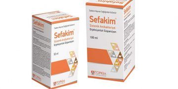 Sefakim