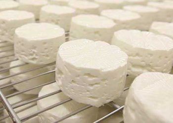 Yağsız Kuru Madde Nedir?