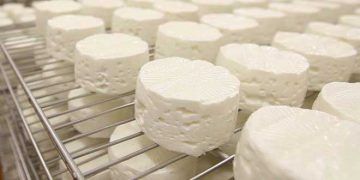 Yağsız Kuru Madde Nedir?