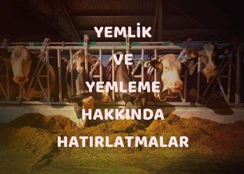 Yemlik ve Yemleme Hakkında Hatırlatmalar