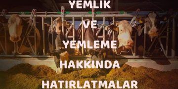 Yemlik ve Yemleme Hakkında Hatırlatmalar