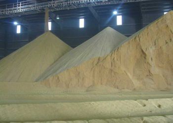 Yoğunlaştırılmış Mısır Fermentasyon Extraktı Nedir?