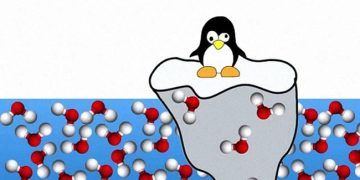 Yoğunluk Gradyanı Nedir?