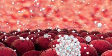 Beslenme ve Eksiklik Anemisi Nedir?