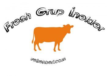 Fresh Grup ineklerde uterus hastalıkları neden izlenmelidir?