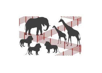 Konsolidasyon Nedir?