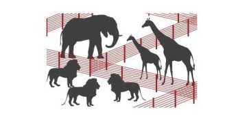 Konsolidasyon Nedir?