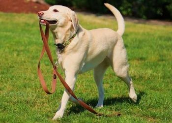 Yersiz Davranış Nedir?