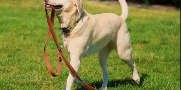 Yersiz Davranış Nedir?