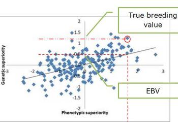 Yetiştiricilik Değeri Nedir?