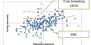 Yetiştiricilik Değeri Nedir?