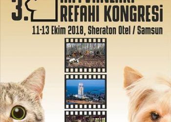 3. Sokak Hayvanları Refahı Kongresi