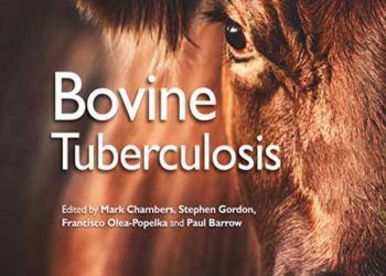 Sığır Tüberkülozu