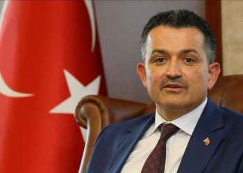 Kurbana hazır büyükbaş hayvan mevcudumuz 1,2 milyondur