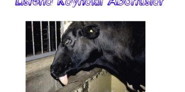 Listeria Kaynaklı Abortuslar
