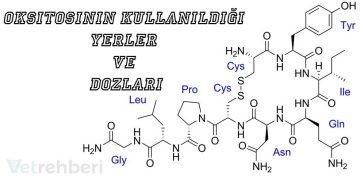 Oksitosinin Kullanıldığı Yerler ve Dozları