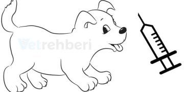 Oksitosinin Kullanım Şekli ve Etkinliği