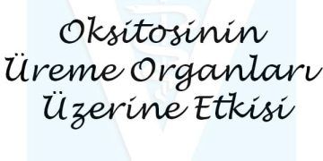 Oksitosinin Üreme Organları Üzerine Etkisi