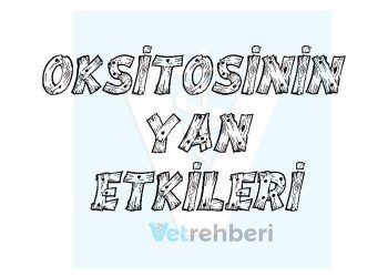 Oksitosinin Yan Etkileri