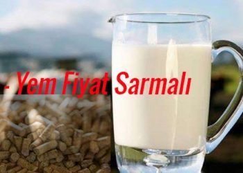 Süt - Yem Fiyat Sarmalı