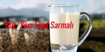 Süt - Yem Fiyat Sarmalı