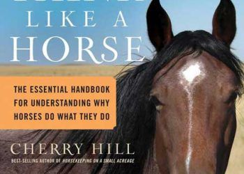 At Gibi Nasıl Düşünülür: Atların yaptıklarını anlamak için gerekli el kitabı