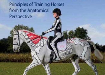 Postür ve Performans: Anatomik Bakış Açısından Atlarının Eğitim Prensipleri