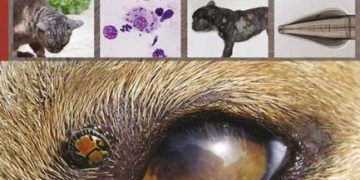Köpekler ve Kedilerdeki Klinik Parazitoloji Kitabı
