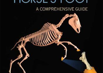 Resimlerle At Ayak Anatomisi